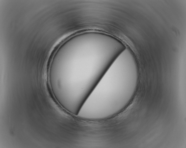 X0000113991028200910021006