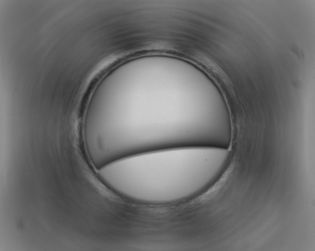 X0000113991029200910021006
