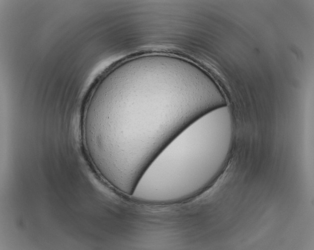 X0000113991030200910021006