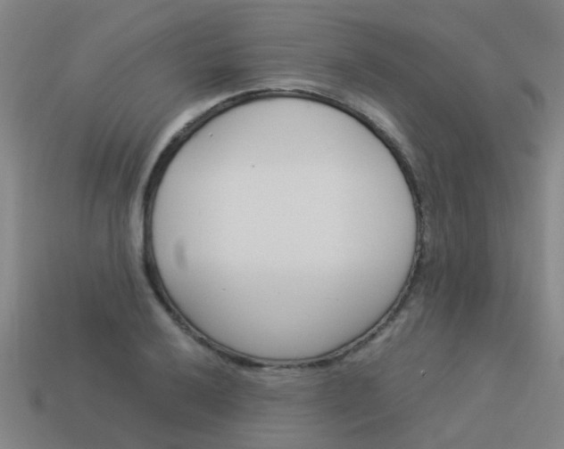 X0000113991032200910021006