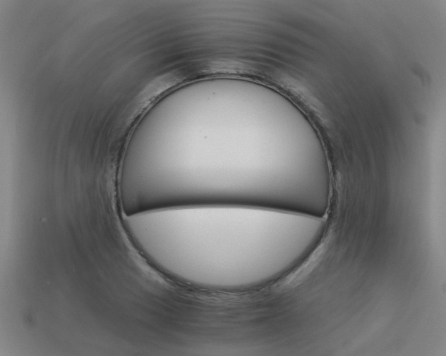 X0000113991033200910021006
