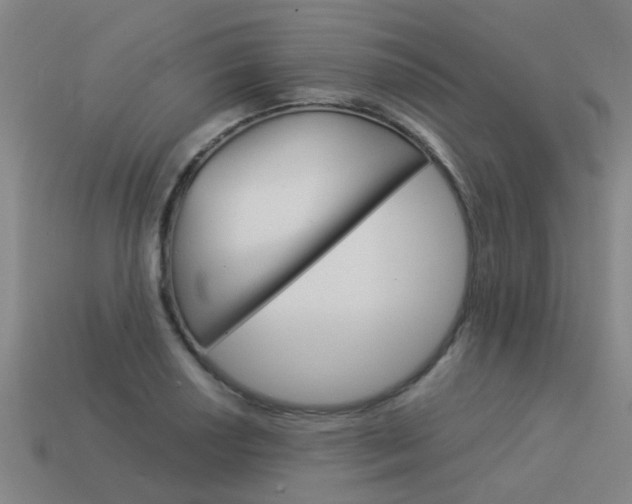X0000113991034200910021006