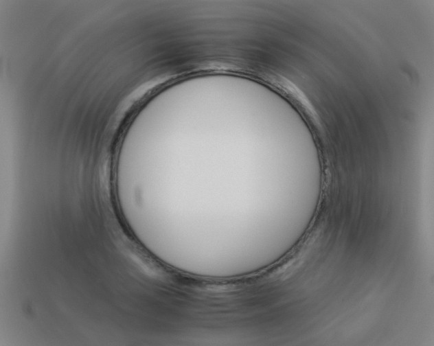 X0000113991035200910021006