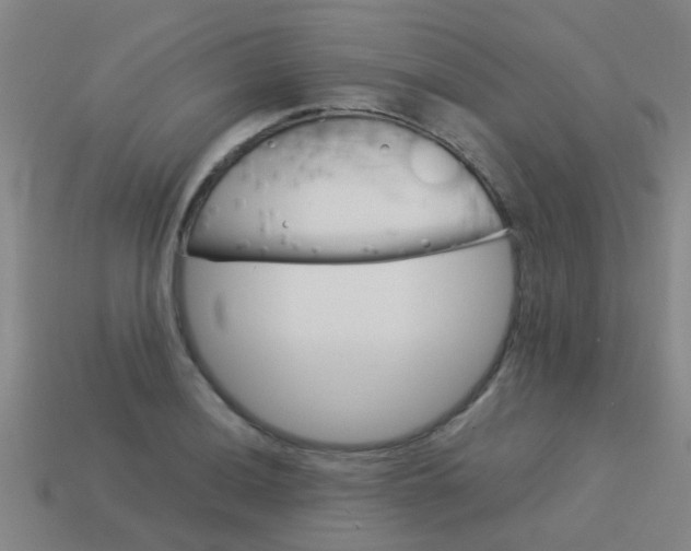 X0000113991036200910021006