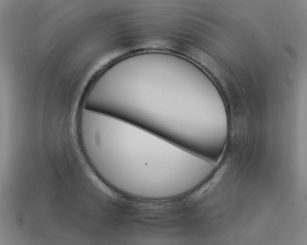 X0000113991037200910021006