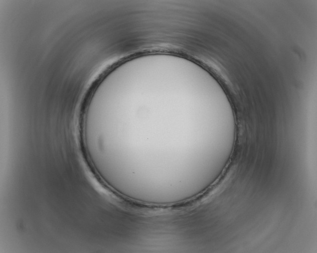 X0000113991038200910021006