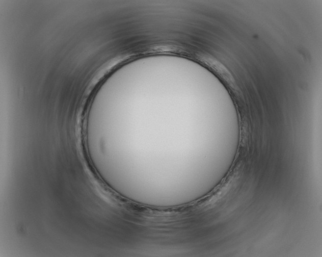 X0000113991039200910021006