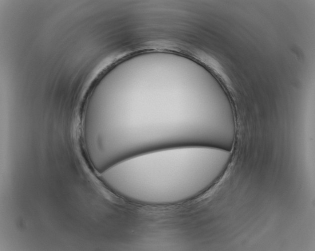 X0000113991040200910021006
