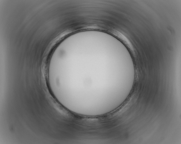 X0000113991043200910021006