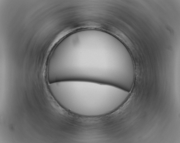 X0000113991044200910021006