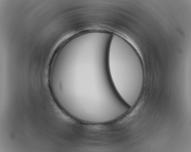 X0000113991045200910021006