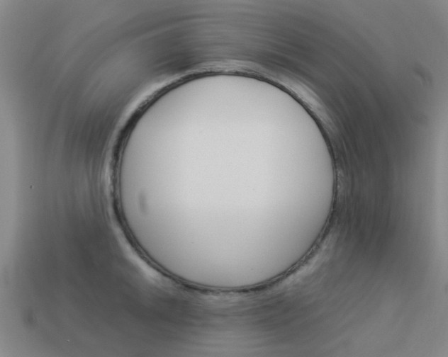 X0000113991046200910021006