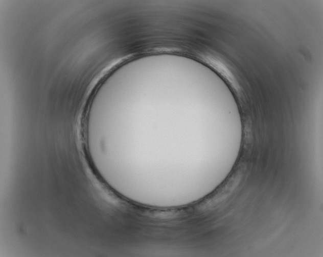 X0000113991047200910021006