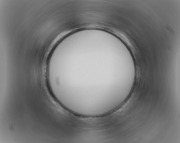 X0000113991048200910021006