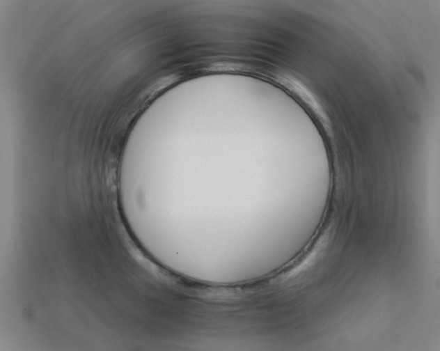 X0000113991049200910021006