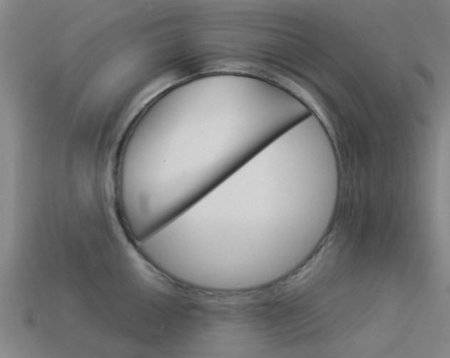 X0000113991050200910021006