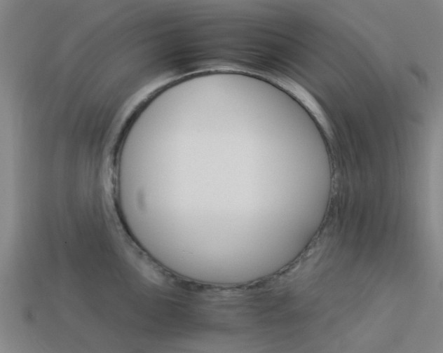 X0000113991051200910021006