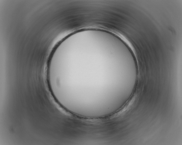 X0000113991053200910021006