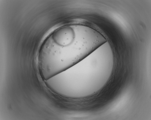 X0000113991054200910021006