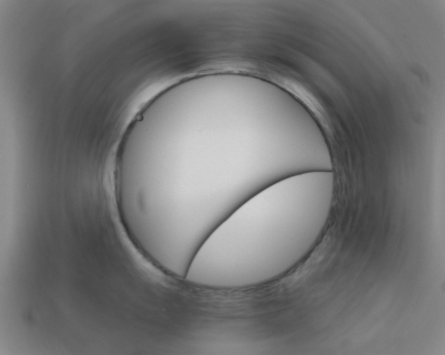X0000113991055200910021006