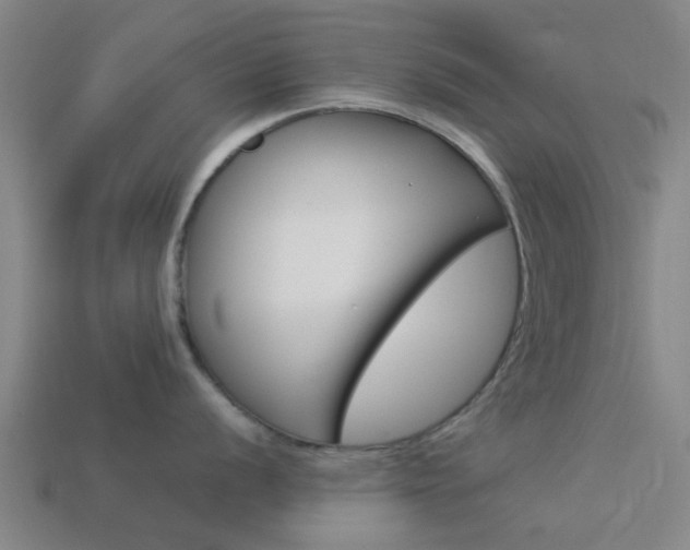 X0000113991056200910021006
