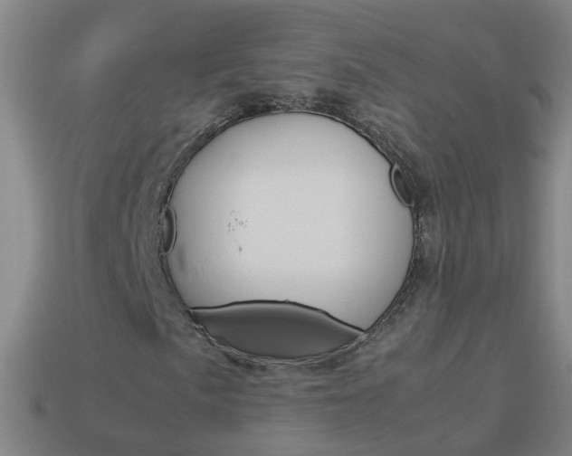 X0000113991057200910021005