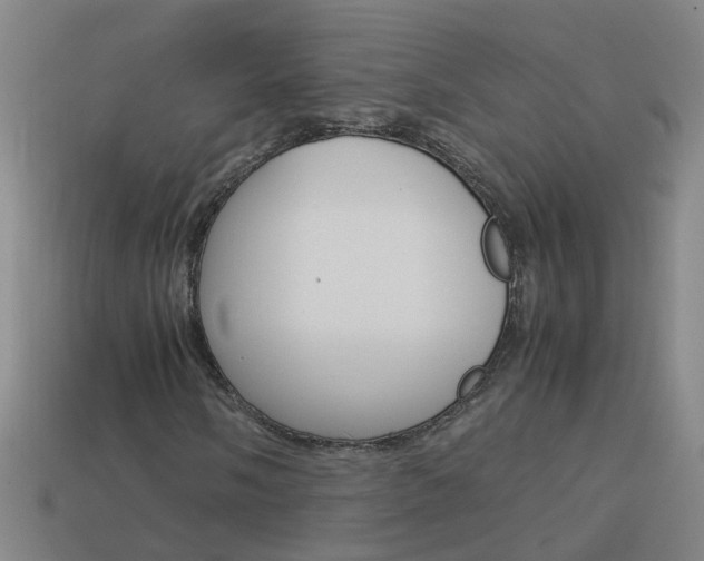 X0000113991058200910021005