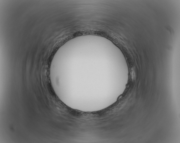 X0000113991059200910021005
