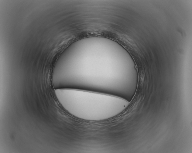 X0000113991060200910021005