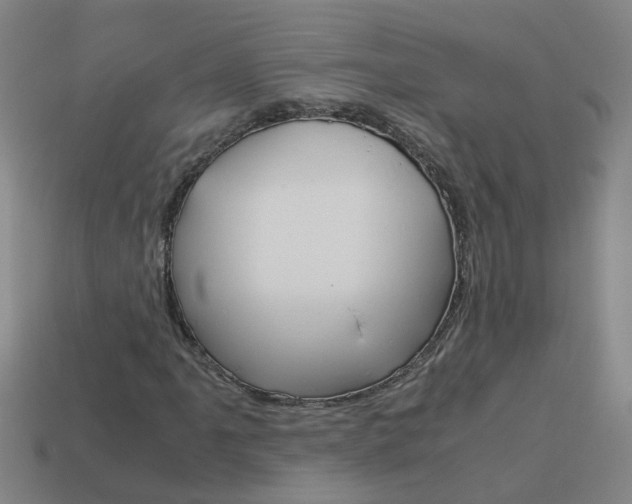 X0000113991061200910021005