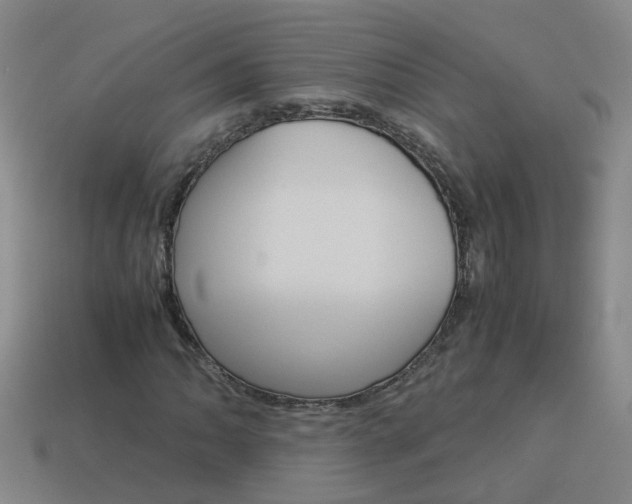 X0000113991062200910021005