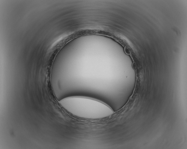 X0000113991064200910021005