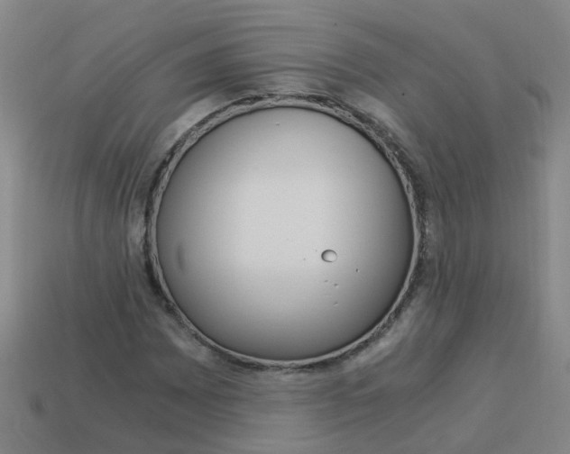 X0000113991065200910021005