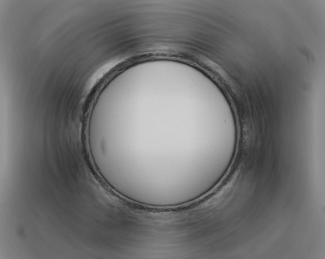 X0000113991066200910021005