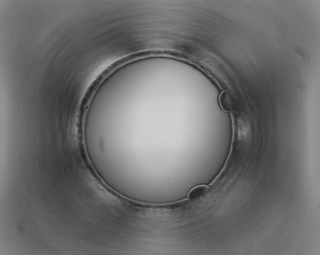 X0000113991068200910021005