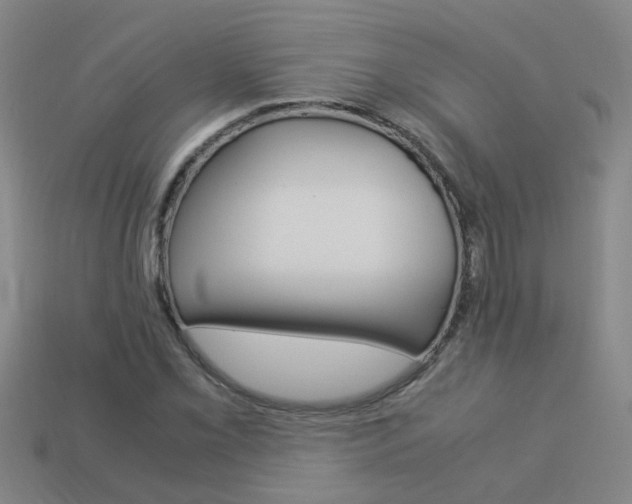 X0000113991069200910021005