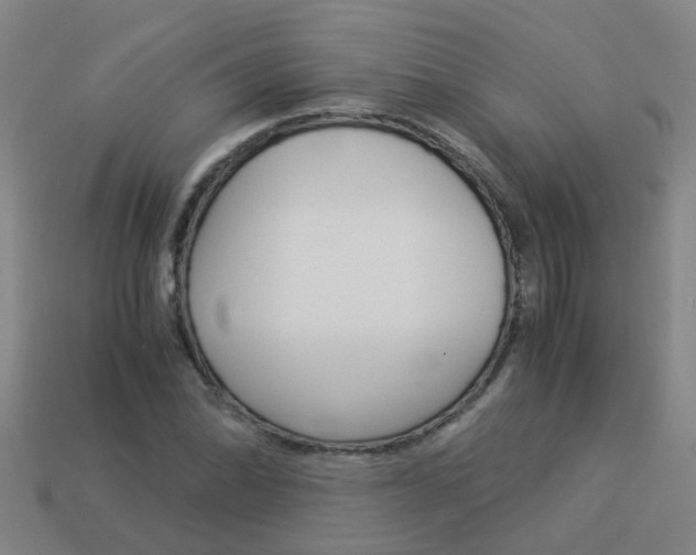 X0000113991070200910021005