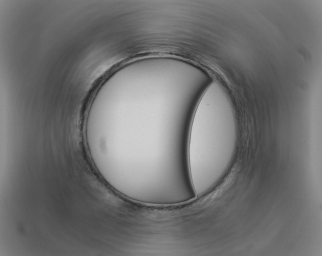 X0000113991071200910021005