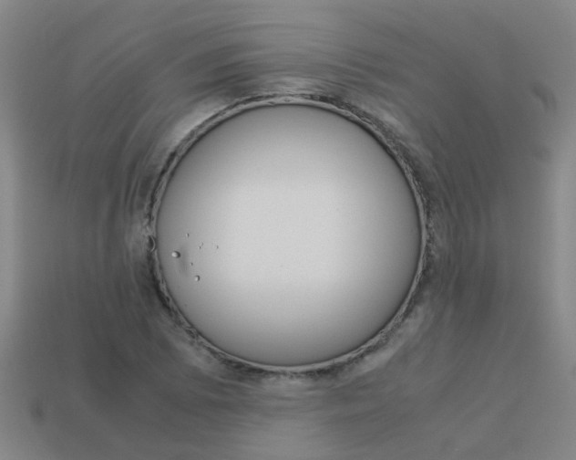 X0000113991073200910021005
