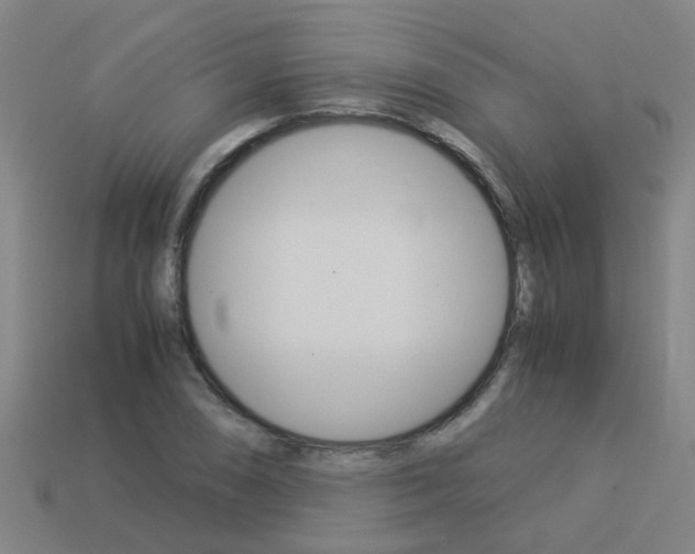 X0000113991074200910021005
