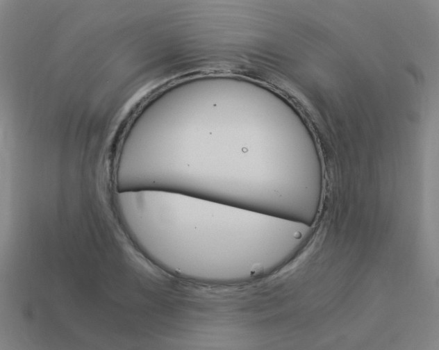 X0000113991075200910021005