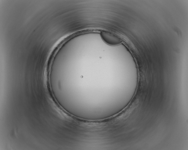 X0000113991076200910021005