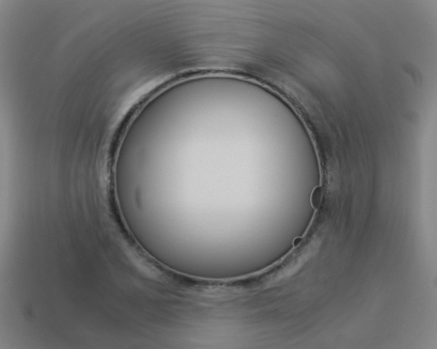 X0000113991077200910021005