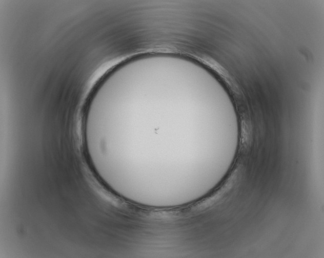 X0000113991078200910021005