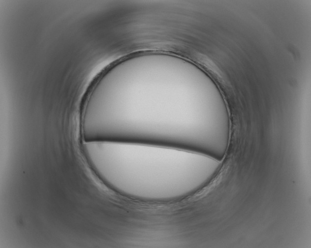 X0000113991079200910021005