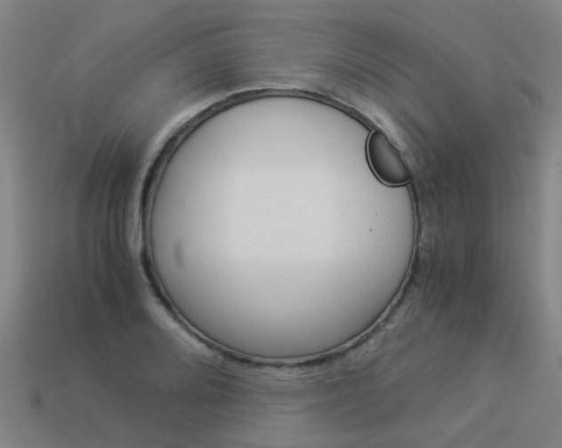 X0000113991080200910021005