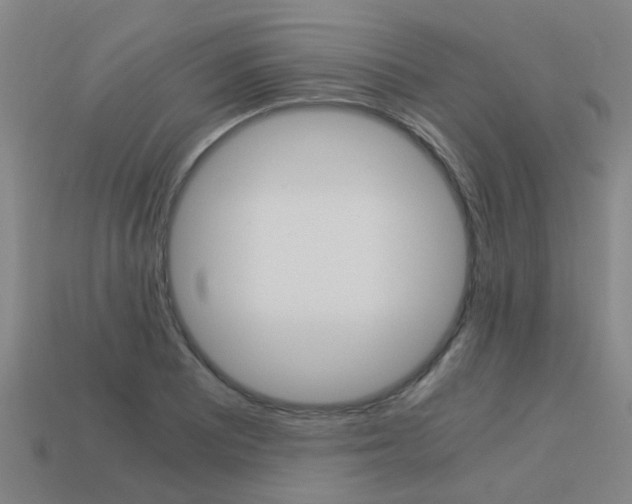 X0000113991081200910021005