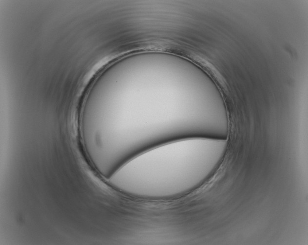 X0000113991083200910021005