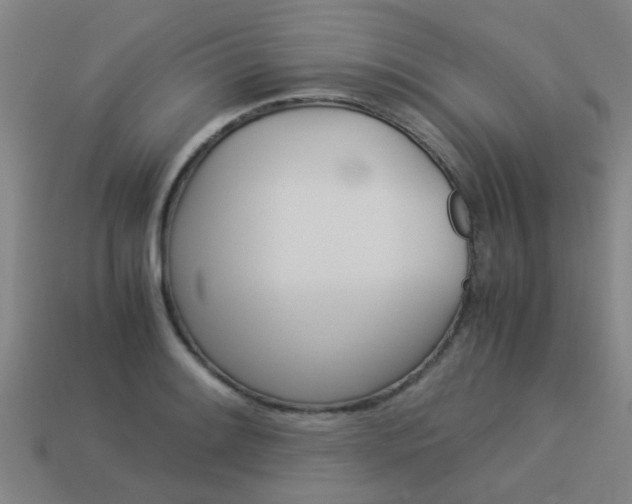 X0000113991084200910021005