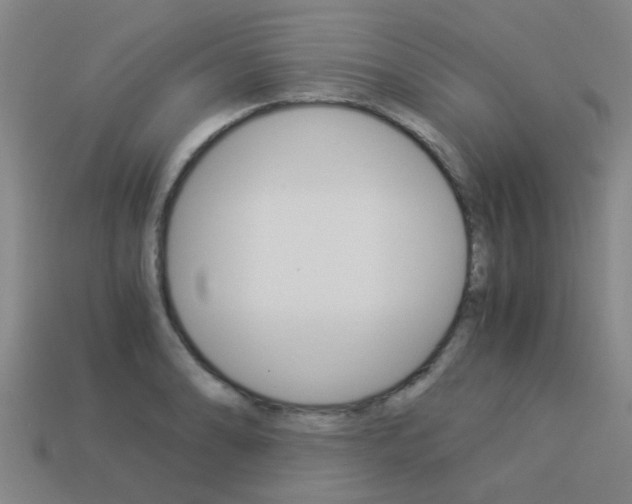 X0000113991086200910021005